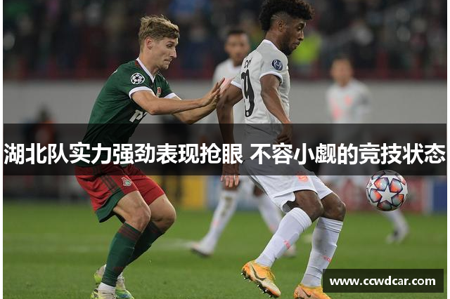 湖北队实力强劲表现抢眼 不容小觑的竞技状态