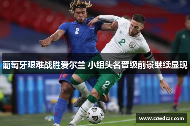 葡萄牙艰难战胜爱尔兰 小组头名晋级前景继续显现