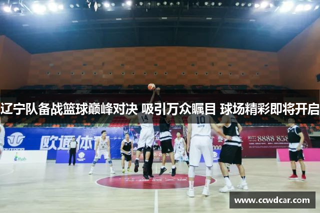 辽宁队备战篮球巅峰对决 吸引万众瞩目 球场精彩即将开启