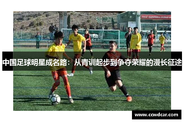 中国足球明星成名路：从青训起步到争夺荣耀的漫长征途
