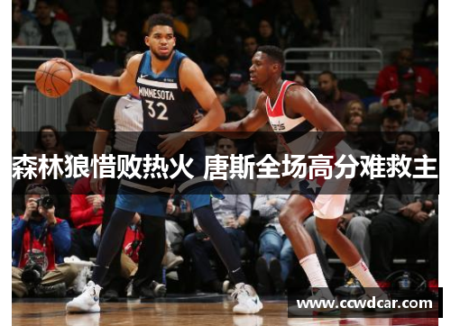 森林狼惜败热火 唐斯全场高分难救主