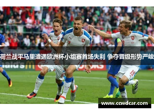 荷兰战平马里遭遇欧洲杯小组赛首场失利 争夺晋级形势严峻