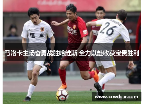 马洛卡主场奋勇战胜哈维斯 全力以赴收获宝贵胜利