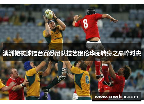 澳洲橄榄球擂台赛悉尼队技艺绝伦华丽转身之巅峰对决