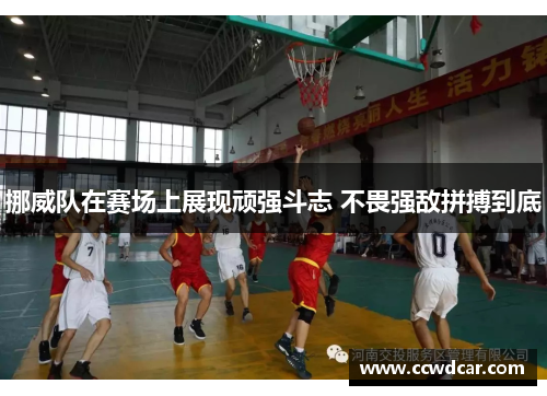 挪威队在赛场上展现顽强斗志 不畏强敌拼搏到底