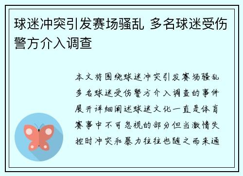球迷冲突引发赛场骚乱 多名球迷受伤警方介入调查